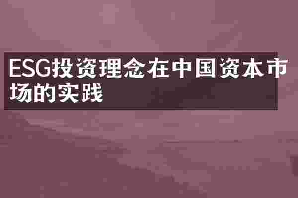 ESG投资理念在中国资本市场的实践
