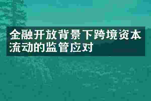 金融开放背景下跨境资本流动的监管应对
