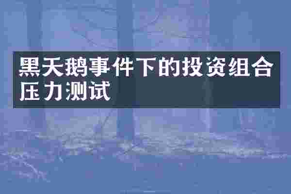 黑天鹅事件下的投资组合压力测试