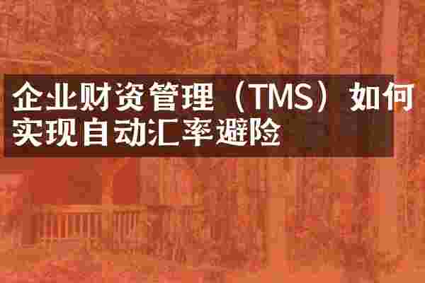 企业财资管理（TMS）如何实现自动汇率避险