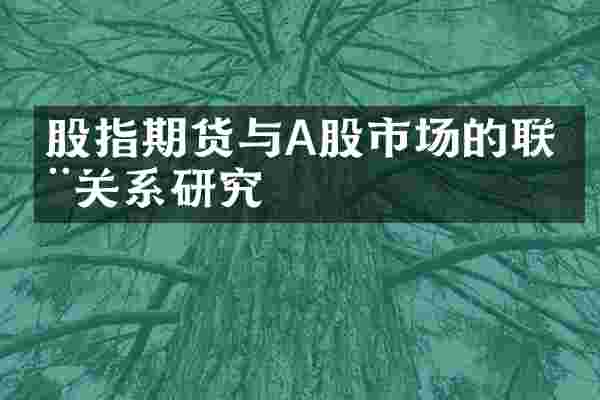 股指期货与A股市场的联动关系研究