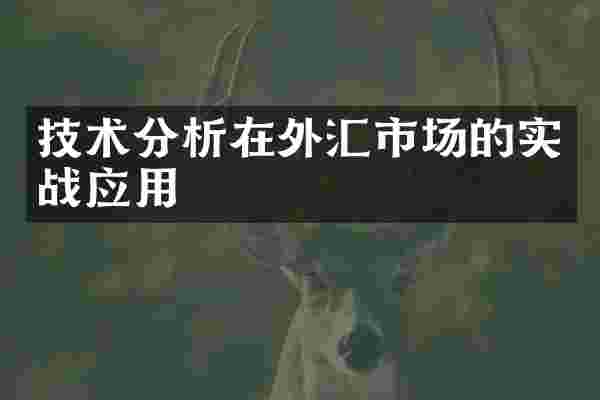 技术分析在外汇市场的实战应用