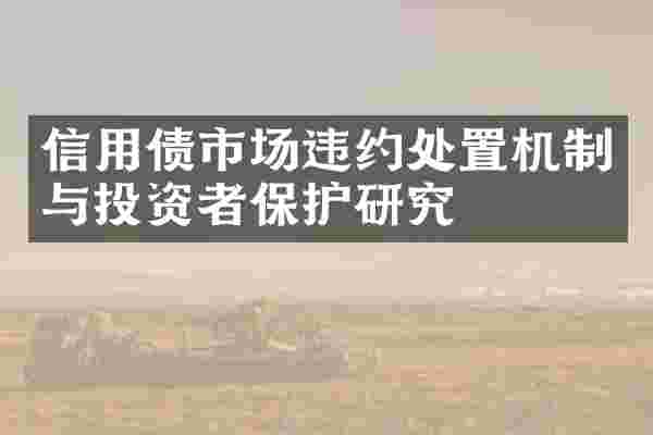 信用债市场违约处置机制与投资者保护研究