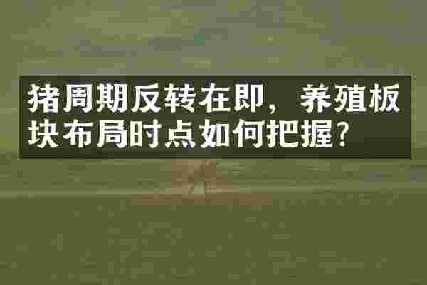 猪周期反转在即，养殖板块布局时点如何把握？