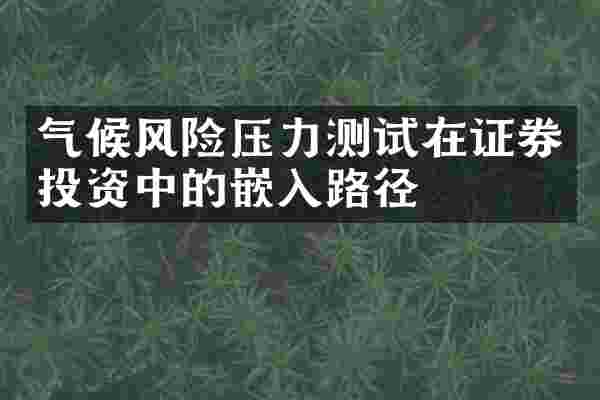 气候风险压力测试在证券投资中的嵌入路径