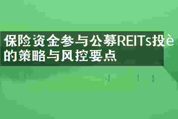 保险资金参与公募REITs投资的策略与风控要点