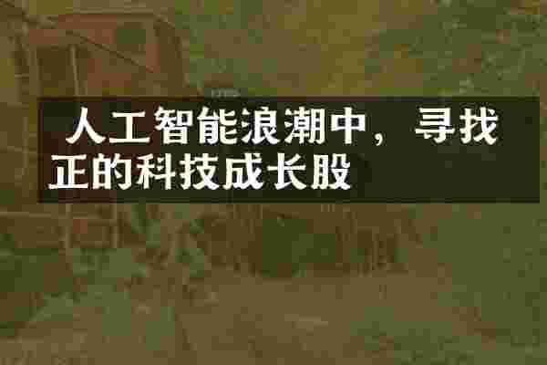  人工智能浪潮中，寻找真正的科技成长股