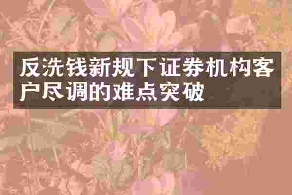 反洗钱新规下证券机构客户尽调的难点突破