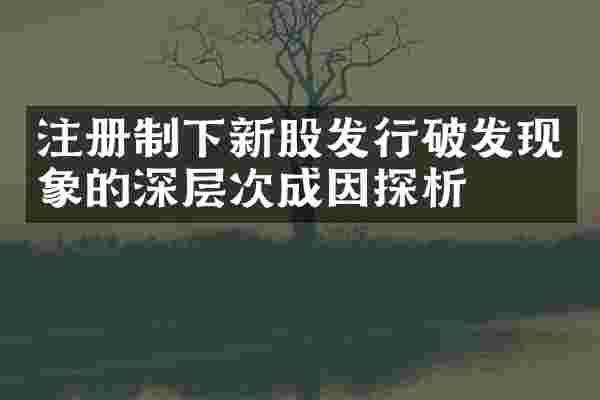 注册制下新股发行破发现象的深层次成因探析