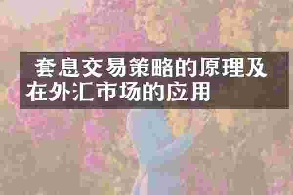  套息交易策略的原理及其在外汇市场的应用