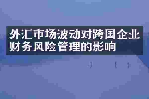 外汇市场波动对跨国企业财务风险管理的影响