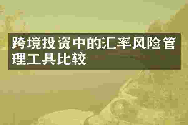 跨境投资中的汇率风险管理工具比较
