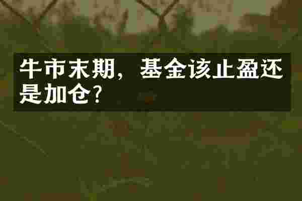 牛市末期，基金该止盈还是加仓？